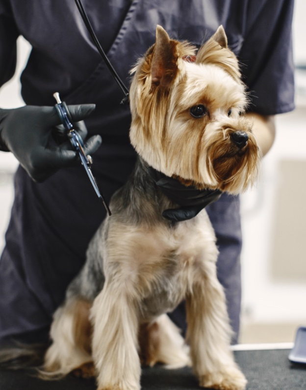 Изображение 73